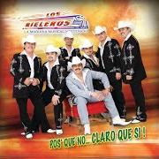 Il testo VOY A DEJARTE di LOS RIELEROS DEL NORTE è presente anche nell'album Pos' que no... claro que si (2008)