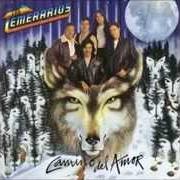 Il testo AHI ESTARE YO di LOS TEMERARIOS è presente anche nell'album Camino del amor (1995)