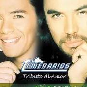 Il testo SI TU QUISIERAS di LOS TEMERARIOS è presente anche nell'album Tributo al amor (2003)