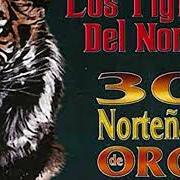 Il testo BOHEMIO DE AFRICON di LOS TIGRES DEL NORTE è presente anche nell'album 20 nortenas famosas (2004)