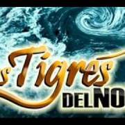 Il testo JOSE PEREZ LEON di LOS TIGRES DEL NORTE è presente anche nell'album Aguas revueltas (2010)