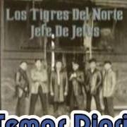 Il testo JEFE DE JEFES di LOS TIGRES DEL NORTE è presente anche nell'album Jefe de jefes (2012)