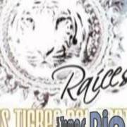 Il testo SANGRE CALIENTE di LOS TIGRES DEL NORTE è presente anche nell'album Raices (2008)