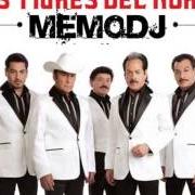 Il testo NOMÁS CUANDO ESTOY SIN TI di LOS TIGRES DEL NORTE è presente anche nell'album Realidades (2014)