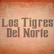 Il testo MUJERES DIVINAS di LOS TIGRES DEL NORTE è presente anche nell'album Mujeres divinas (2020)