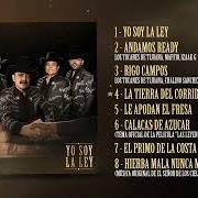 Il testo YO SOY LA LEY di LOS TUCANES DE TIJUANA è presente anche nell'album Yo soy la ley (2026)