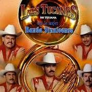 Il testo LISTA NEGRA di LOS TUCANES DE TIJUANA è presente anche nell'album Banda mix (2003)