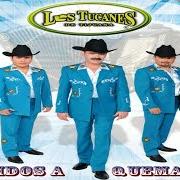 Il testo EL BORREGO di LOS TUCANES DE TIJUANA è presente anche nell'album Corridos a quema ropa (2013)