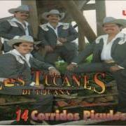 Il testo EL MANOS VERDES di LOS TUCANES DE TIJUANA è presente anche nell'album 14 tucanazos bien pesados (1995)