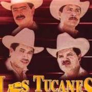 Il testo QUE NOS PERDONE DIOS di LOS TUCANES DE TIJUANA è presente anche nell'album Tú eres (2000)