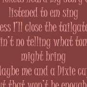 Il testo I DON'T WANT THIS NIGHT TO END di LUKE BRYAN è presente anche nell'album Tailgates & tanlines (2011)