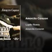 Il testo SIN FORTUNA di LUPILLO RIVERA è presente anche nell'album Amorcito corazón (2002)