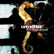 Il testo FOR SHADOWS dei LUTI-KRISS è presente anche nell'album Throwing myself (2001)