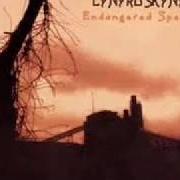 Il testo ALL I HAVE IS A SONG dei LYNYRD SKYNYRD è presente anche nell'album Endangered species (1994)