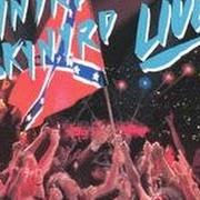 Il testo FREEBIRD dei LYNYRD SKYNYRD è presente anche nell'album Southern by the grace of god (1988)