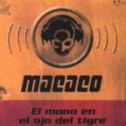 Il testo GACHO EL PELEON dei MACACO è presente anche nell'album El mono en el ojo del tigre (1999)