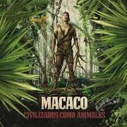 Il testo NO NOS PARARÁN dei MACACO è presente anche nell'album Civilizado como los animales (2019)