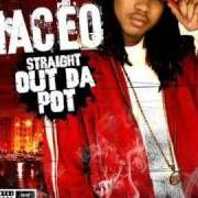 Il testo OUTTA HERE di MACEO è presente anche nell'album Straight out the pot (2005)