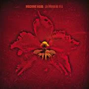 Il testo SILVER dei MACHINE HEAD è presente anche nell'album The burning red (1999)