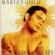 Il testo SWEET NEEDLES OF SUCCESS degli ALPHAVILLE è presente anche nell'album So long celeste [marian gold] (1992)