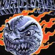 Il testo FOR MY ENEMIES dei MADBALL è presente anche nell'album N.Y.H.C. (2004)