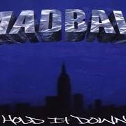 Il testo STILL SEARCHING dei MADBALL è presente anche nell'album Hold it down (2000)