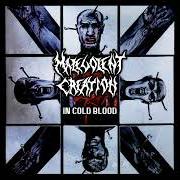 Il testo VIOLATED dei MALEVOLENT CREATION è presente anche nell'album In cold blood (1997)