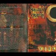 Il testo PREEMPTIVE STRIKE dei MALEVOLENT CREATION è presente anche nell'album Warkult (2004)