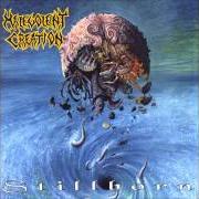 Il testo DISCIPLE OF ABHORRENCE dei MALEVOLENT CREATION è presente anche nell'album Stillborn (1993)