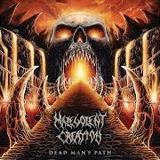 Il testo DEAD MAN'S PATH dei MALEVOLENT CREATION è presente anche nell'album Dead man's path (2015)