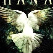 Il testo ENVENÉNAME dei MANÁ è presente anche nell'album Drama y luz (2011)