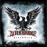 Il testo BREAK ME DOWN degli ALTER BRIDGE è presente anche nell'album Blackbird (2007)