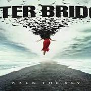 Il testo PAY NO MIND degli ALTER BRIDGE è presente anche nell'album Walk the sky (2019)