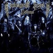 Il testo NIGHTFALL dei MANDRAGORA SCREAM è presente anche nell'album Madhouse (2006)