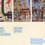 Il testo WHAT'S MY NAME dei MANIC STREET PREACHERS è presente anche nell'album Lipstick traces - a secret history of manic street preachers - disc 2 (2003)