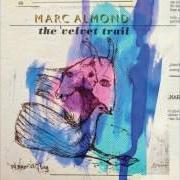 Il testo SCAR di MARC ALMOND è presente anche nell'album The velvet trail (2015)