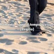 Il testo COME UN AMORE di MARIELLA NAVA è presente anche nell'album Tempo mosso (2012)