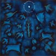 Il testo 100 NIGHTS dei MARILLION è presente anche nell'album Holidays in eden (1991)