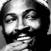 Il testo THEME FROM TROUBLE MAN di MARVIN GAYE è presente anche nell'album Trouble man (1972)