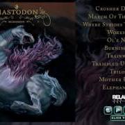 Il testo MOTHER PUNCHER dei MASTODON è presente anche nell'album Remission (2002)