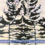 Il testo OTHER COUNTRIES dei MATT POND PA è presente anche nell'album I thought you were sleeping ep (2001)