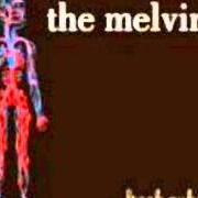 Il testo BABY, WON'T YOU WEIRD ME OUT dei THE MELVINS è presente anche nell'album Freak puke (2012)