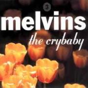 Il testo THE MAN WITH THE LAUGHING HAND IS DEAD dei THE MELVINS è presente anche nell'album The crybaby (2000)