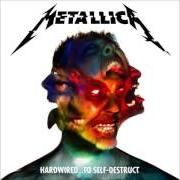 Il testo LORDS OF SUMMER dei METALLICA è presente anche nell'album Lords of summer (2014)