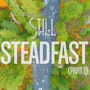 Il testo STEADFAST, PT. 1 di MICHAEL W. SMITH è presente anche nell'album Still, vol. 1 (2020)