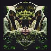 Il testo CHILDREN OF THE GROUNDS di MIDLAKE è presente anche nell'album The courage of others (2010)