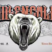 Il testo PERFECTION IS BORING dei MILLENCOLIN è presente anche nell'album True brew (2015)