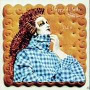 Il testo DONNA DONNA DONNA di MINA è presente anche nell'album Pappa di latte - vol. ii (1995)