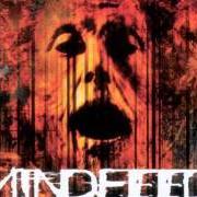 Il testo WAITING di MINDFEED è presente anche nell'album Ten miles high (1998)