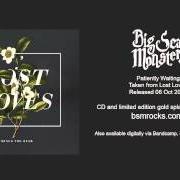 Il testo INVENTED MEMORY dei MINUS THE BEAR è presente anche nell'album Lost loves (2014)
